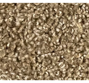 829 Silvery